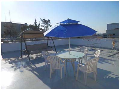 �ü����� ����