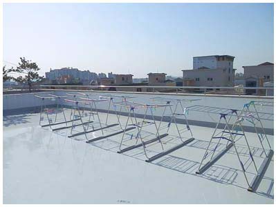 �ü����� ����