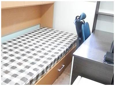 �ü����� ����