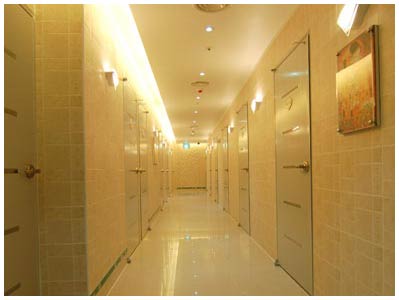 �ü����� ����